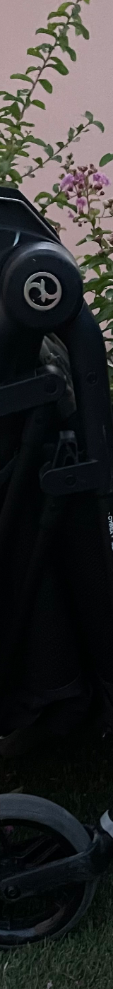 Cybex Melio Street, photo 4