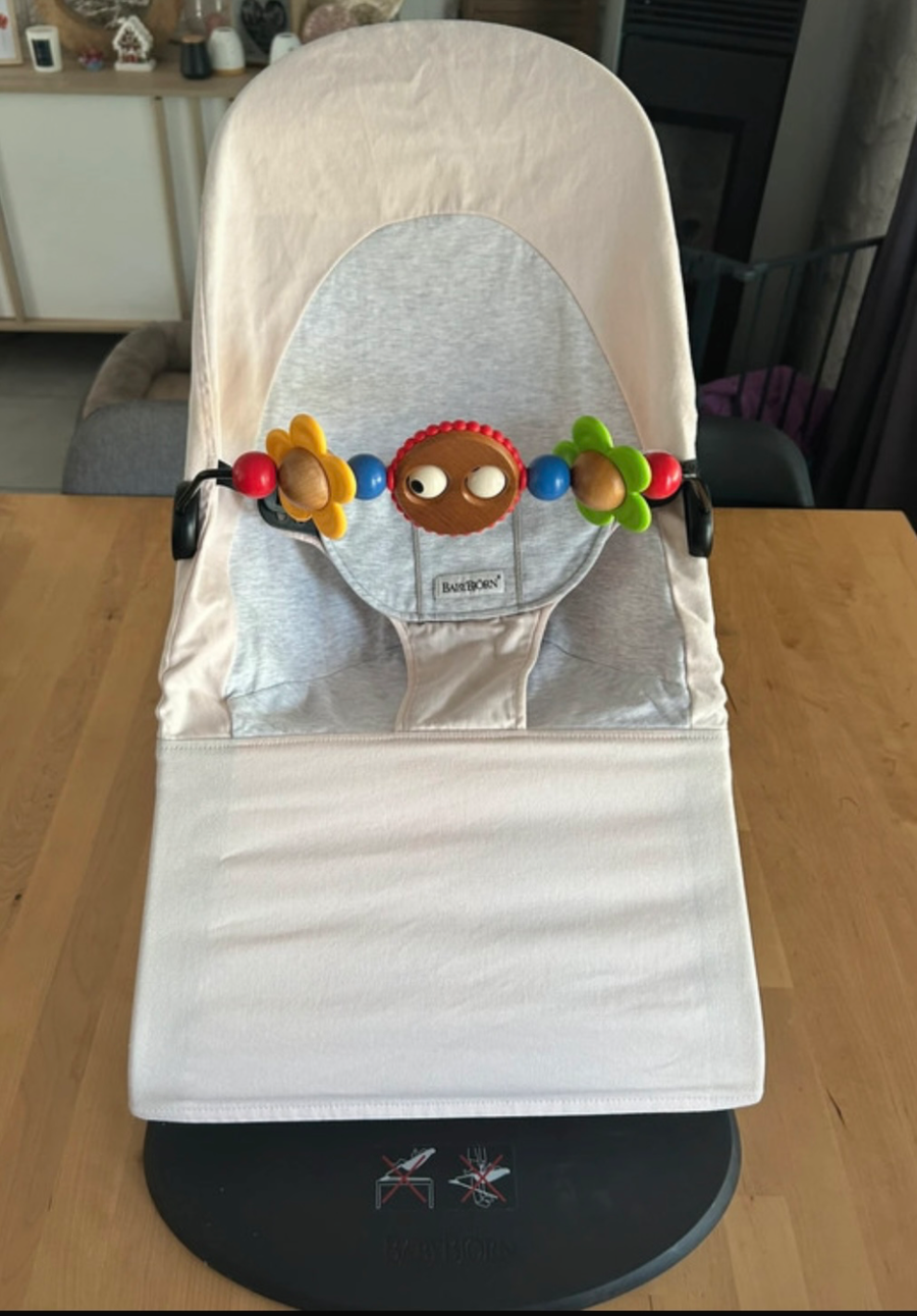 Transat Babybjörn Babybjörn d'occasion, Maison Chaton